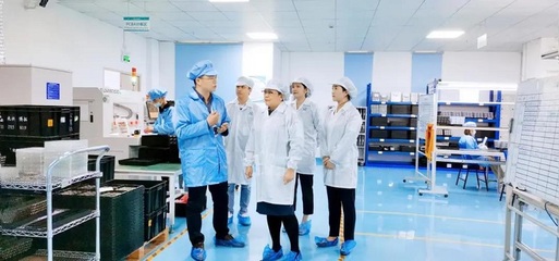 攜手共進，共創(chuàng)未來——深圳擔保集團蒞臨云里物里考察指導軟件開發(fā)工作